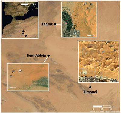 Culturing the desert microbiota